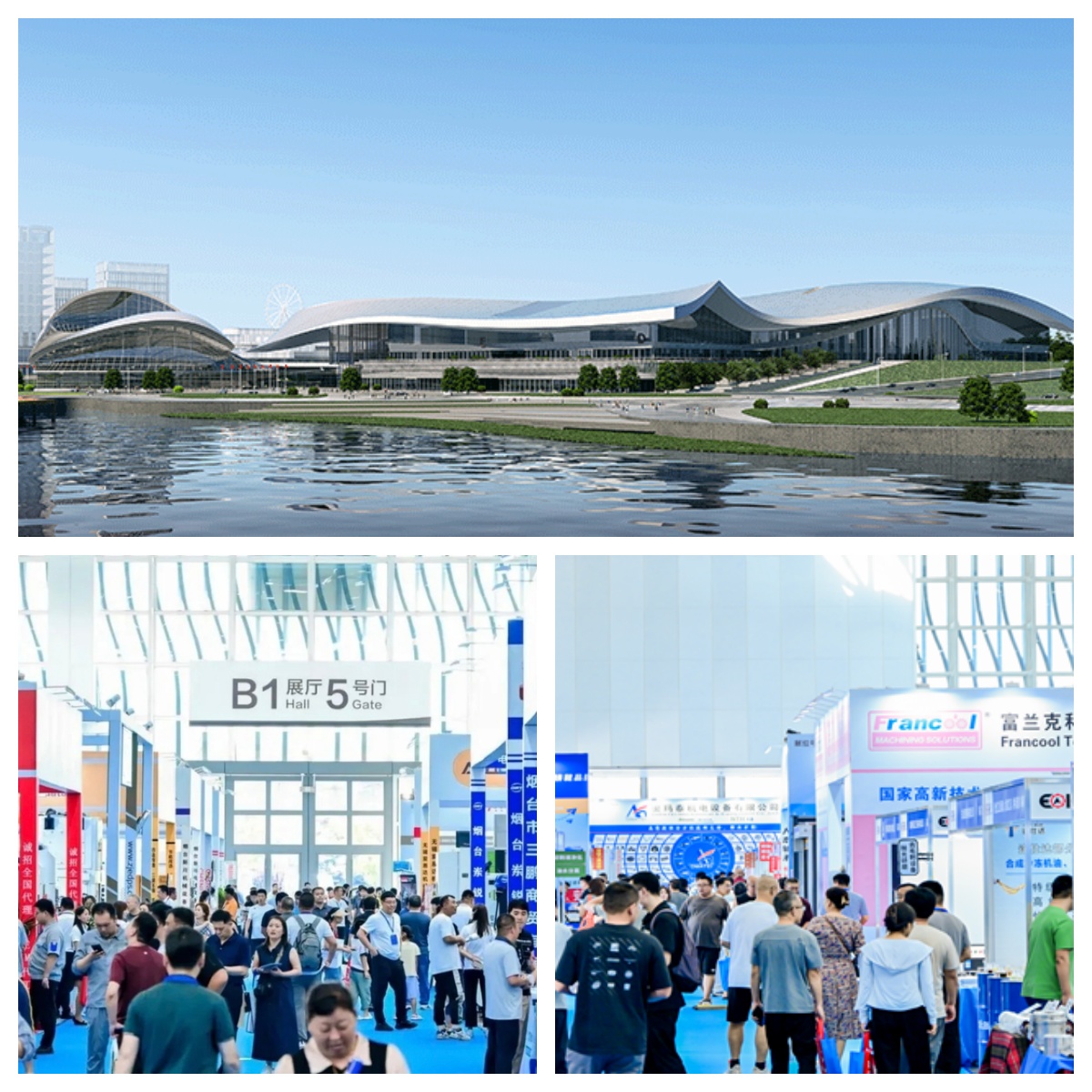 LIONSE partecipa alla mostra Yantai 2026